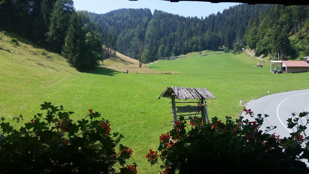 Brunarica Bled Zatrnik Pokljuka Habitación foto