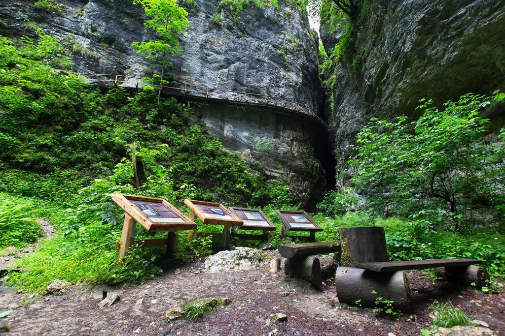 Brunarica Bled Zatrnik Pokljuka Exterior foto