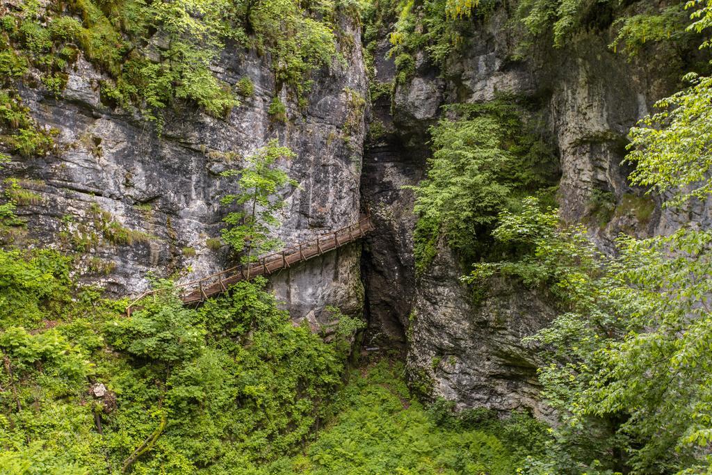 Brunarica Bled Zatrnik Pokljuka Exterior foto