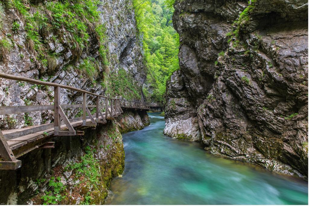 Brunarica Bled Zatrnik Pokljuka Exterior foto
