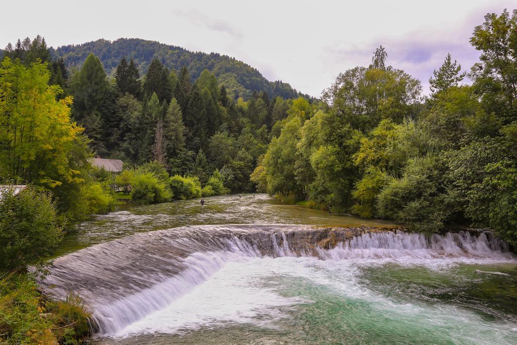 Brunarica Bled Zatrnik Pokljuka Exterior foto